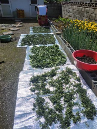 송경희님의 작성글 사진