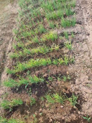 정환기님의 자유주제 · 사진전 작성글 사진