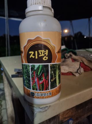 김한수님의 배추 · 영농일지 작성글 사진