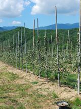 팜모닝 자유주제·자유게시판 게시글 이미지