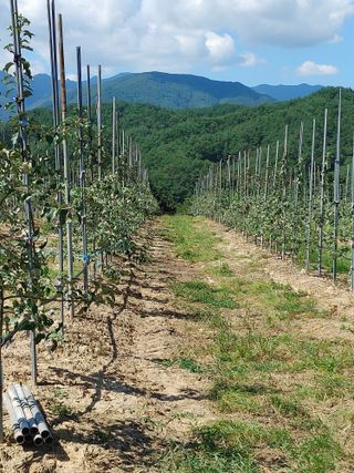 숲속의사나이님의 자유주제 · 자유게시판 작성글 사진