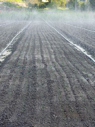 숲속의사나이님의 자유주제 · 자유게시판 작성글 사진