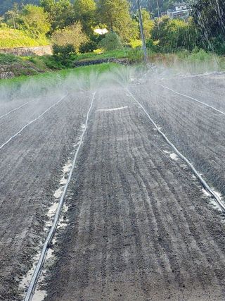 숲속의사나이님의 자유주제 · 자유게시판 작성글 사진