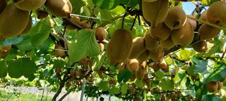 김보민님의 기타작물 · 자유게시판 작성글 사진