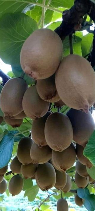 김보민님의 기타작물 · 자유게시판 작성글 사진