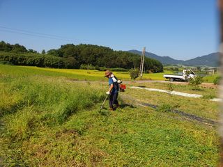 김영진님의 감 · 영농일지 작성글 사진