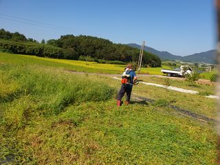 김영진님의 감 · 영농일지 작성글 사진