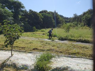김영진님의 감 · 영농일지 작성글 사진