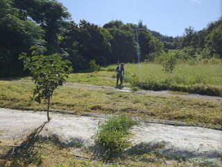 김영진님의 감 · 영농일지 작성글 사진