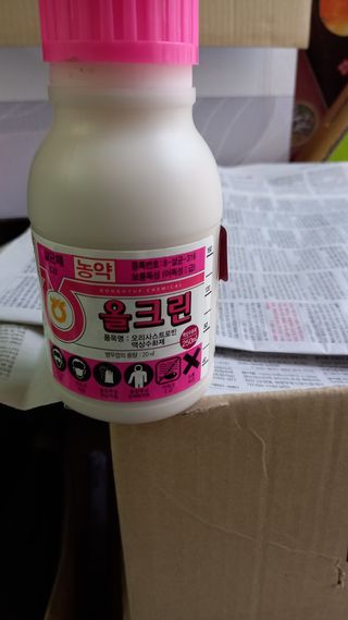 알 수 없음님의 파 · 자유게시판 작성글 사진