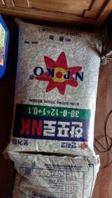 팜모닝 파·자유게시판 게시글 이미지