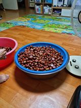 팜모닝 자유주제·자유게시판 게시글 이미지