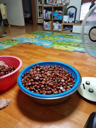 권오정님의 자유주제 · 자유게시판 작성글 사진