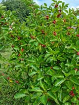 팜모닝 기타작물·자유게시판 게시글 이미지