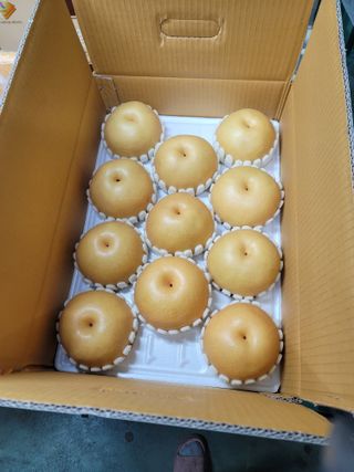 장재농원 최재석님의 배 · 수확 작성글 사진