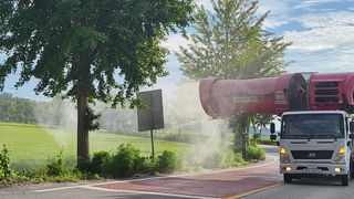 심지님의 벼 · 자유게시판 작성글 사진