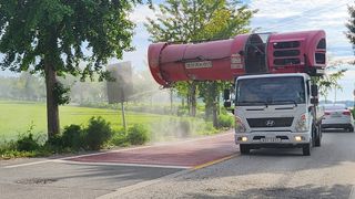 심지님의 벼 · 자유게시판 작성글 사진