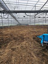 팜모닝 고추·영농일지 게시글 이미지