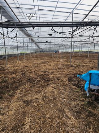 신재용님의 고추 · 영농일지 작성글 사진