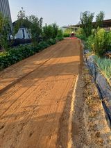 팜모닝 마늘·토양준비 게시글 이미지