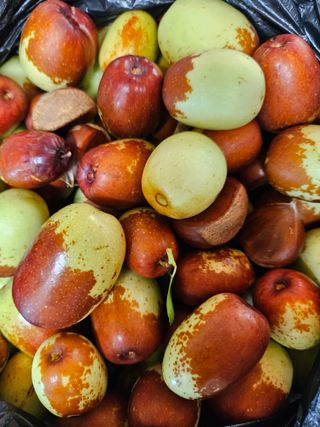 김혜옥님의 9월 내 작물 자랑하기 · 참여글 작성글 사진