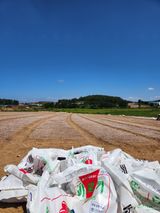 팜모닝 자유주제·자유게시판 게시글 이미지