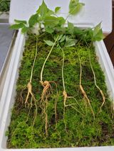 팜모닝 · 게시글 이미지