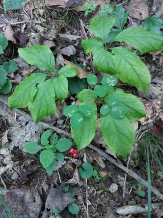 김봉호님의 작성글 사진