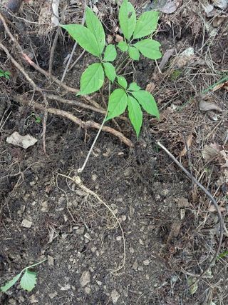 김봉호님의 작성글 사진