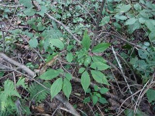 김봉호님의 작성글 사진