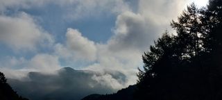 이일철 조이산골님의 고추 · 일상 작성글 사진