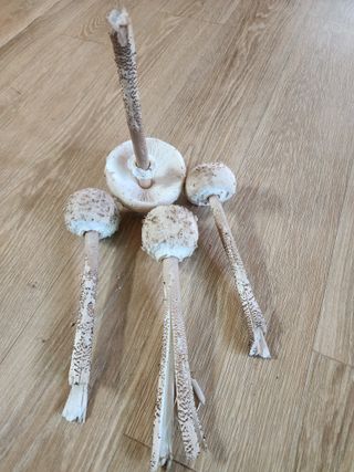 흰돌농원님의 9월 내 작물 자랑하기 · 참여글 작성글 사진