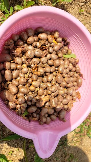 Fly up님의 기타작물 · 자유게시판 작성글 사진