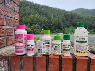 경규찬님의 고추 · 영농일지 작성글 사진