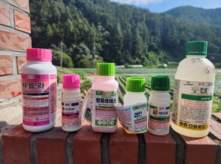 경규찬님의 고추 · 영농일지 작성글 사진