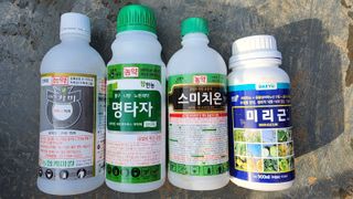 정종필님의 콩 · 자유게시판 작성글 사진