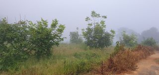 까치샘님의 기타작물 · 영농일지 작성글 사진