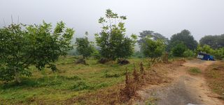 까치샘님의 기타작물 · 영농일지 작성글 사진