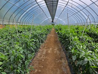 김시헌 님의 기타작물 · 자유게시판 작성글 사진