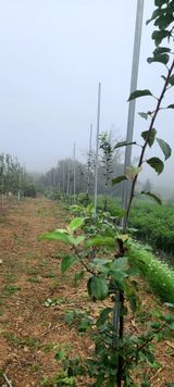 팜모닝 9월 내 작물 자랑하기·참여글 게시글 이미지