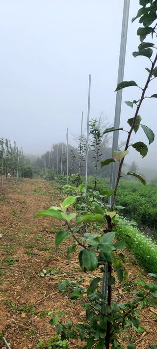 염인수님의 9월 내 작물 자랑하기 · 참여글 작성글 사진