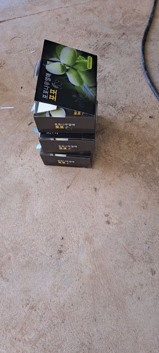 백동감님의 기타작물 · 자유게시판 작성글 사진