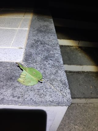 대산골체리님의 자유주제 · 자유게시판 작성글 사진