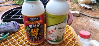 정병화니네농장님의 고추 · 영농일지 작성글 사진