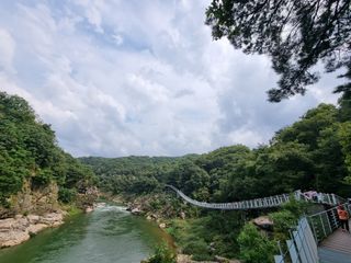 손병만님의 자유주제 · 사진전 작성글 사진