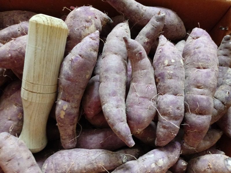 장금이1님의 장터 판매 상품 [꿀고구마 10kgㅡ26900] 첨부 사진