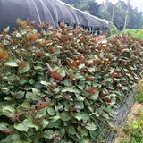 팜모닝 9월 내 작물 자랑하기·참여글 게시글 이미지