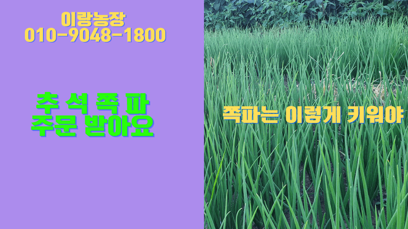 장터 상품 [흙 쪽파 6kg 택배비포함 ] 썸네일