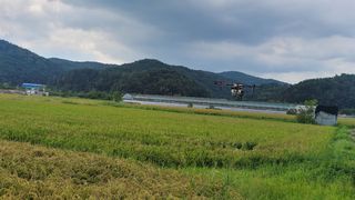 한미양님의 벼 · 영농일지 작성글 사진