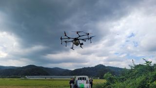 한미양님의 벼 · 영농일지 작성글 사진